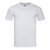 Mens Classic-T Fitted