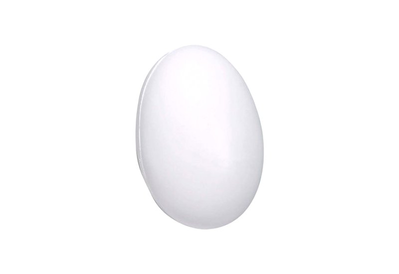  Stress Egg white
