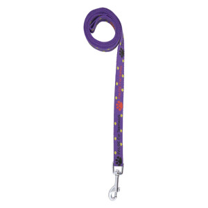 Dog Leashes & Collars 