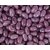 Corporate Colour Mini Jelly Beans  Image #7