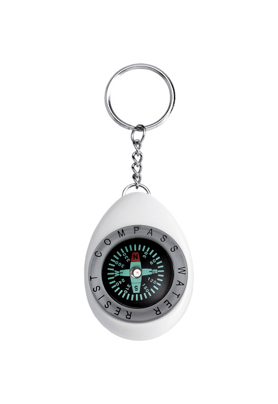 Oval Compass / Key Ring  Image #1 