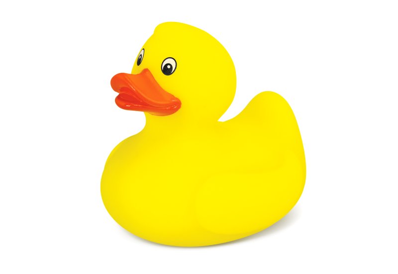 Rubber Duck  Image #1