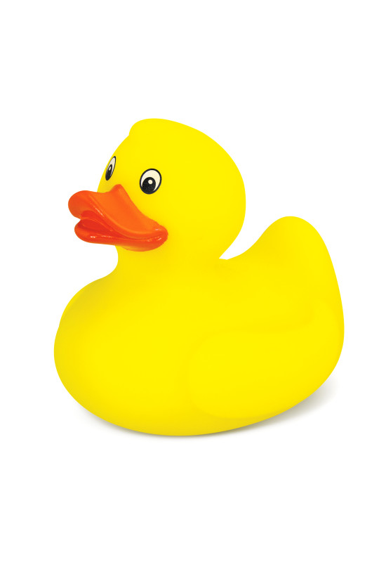 Rubber Duck  Image #1 