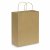 Paper Carry Bag - Large  Image #2