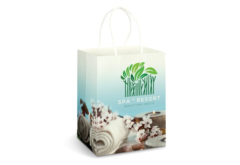 Large Paper Carry Bag - Full Colour  Image #1