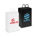 Laminated Carry Bag - Small  Image #1