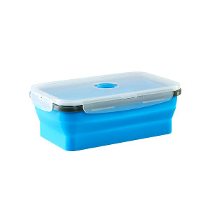 Collapsible Container 